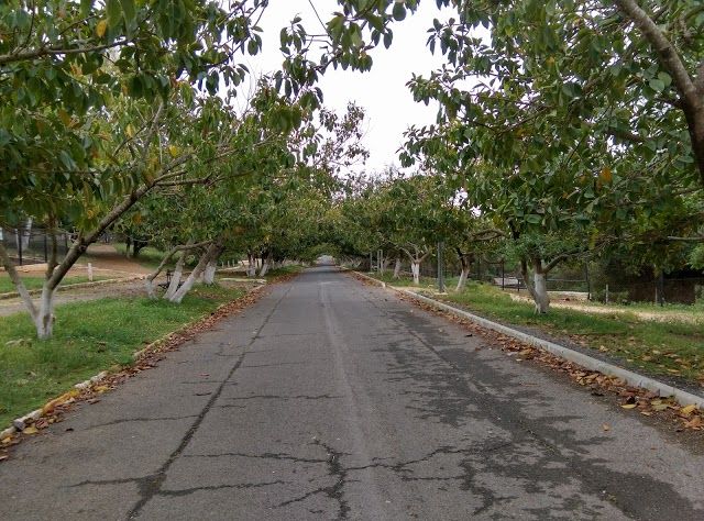 Zoo and entertainment